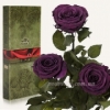 Три розы Florich Фиолетовый аметист