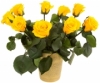 Букет желтых роз Florich 9 шт