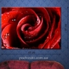 Картина на холсте (пигментная печать) Роза